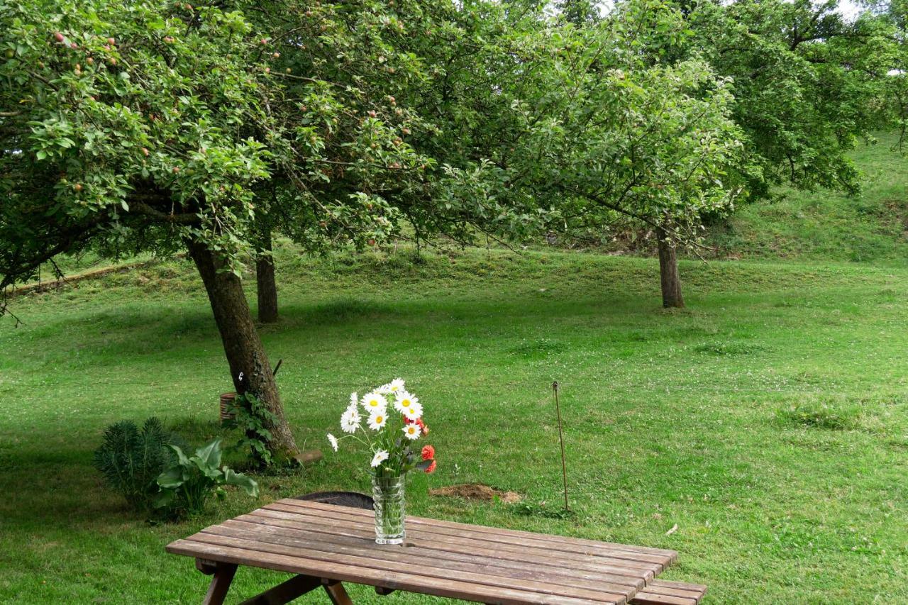 La Petite Maison O Bord De L'Eau Bernieres-le-Patry Eksteriør billede