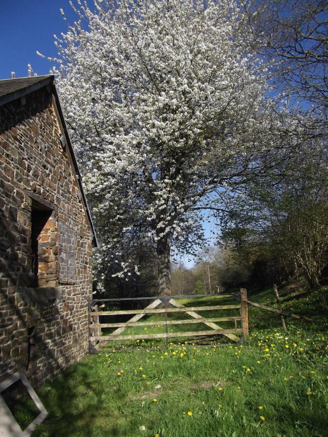 La Petite Maison O Bord De L'Eau Bernieres-le-Patry Eksteriør billede