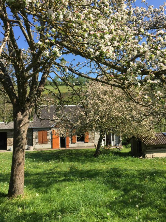 La Petite Maison O Bord De L'Eau Bernieres-le-Patry Eksteriør billede